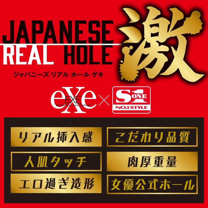 EXE - Japanese Real Hole 激 miru 名器