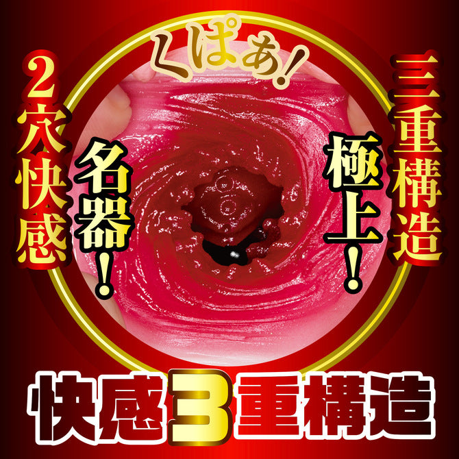 NPG - 榮譽之名器2 森日向子