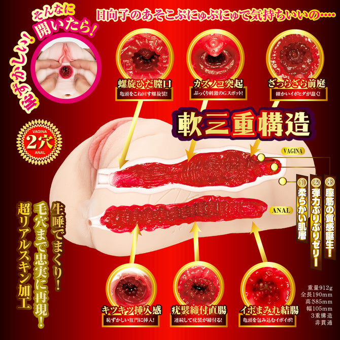 NPG - 榮譽之名器2 森日向子