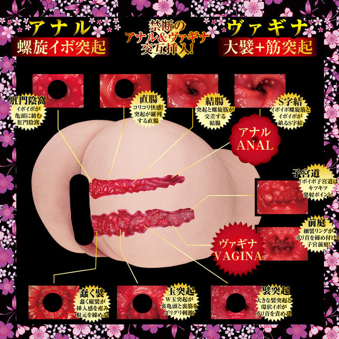 NPG - 2穴 極上生腰 美谷朱里