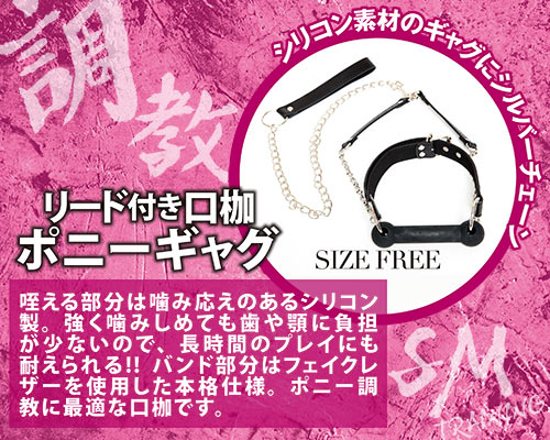 A-ONE - SM 調教 馬韁順從頸帶連口枷
